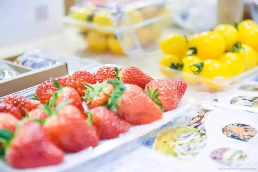 宁波文博会开幕式,浙江宁波文博会