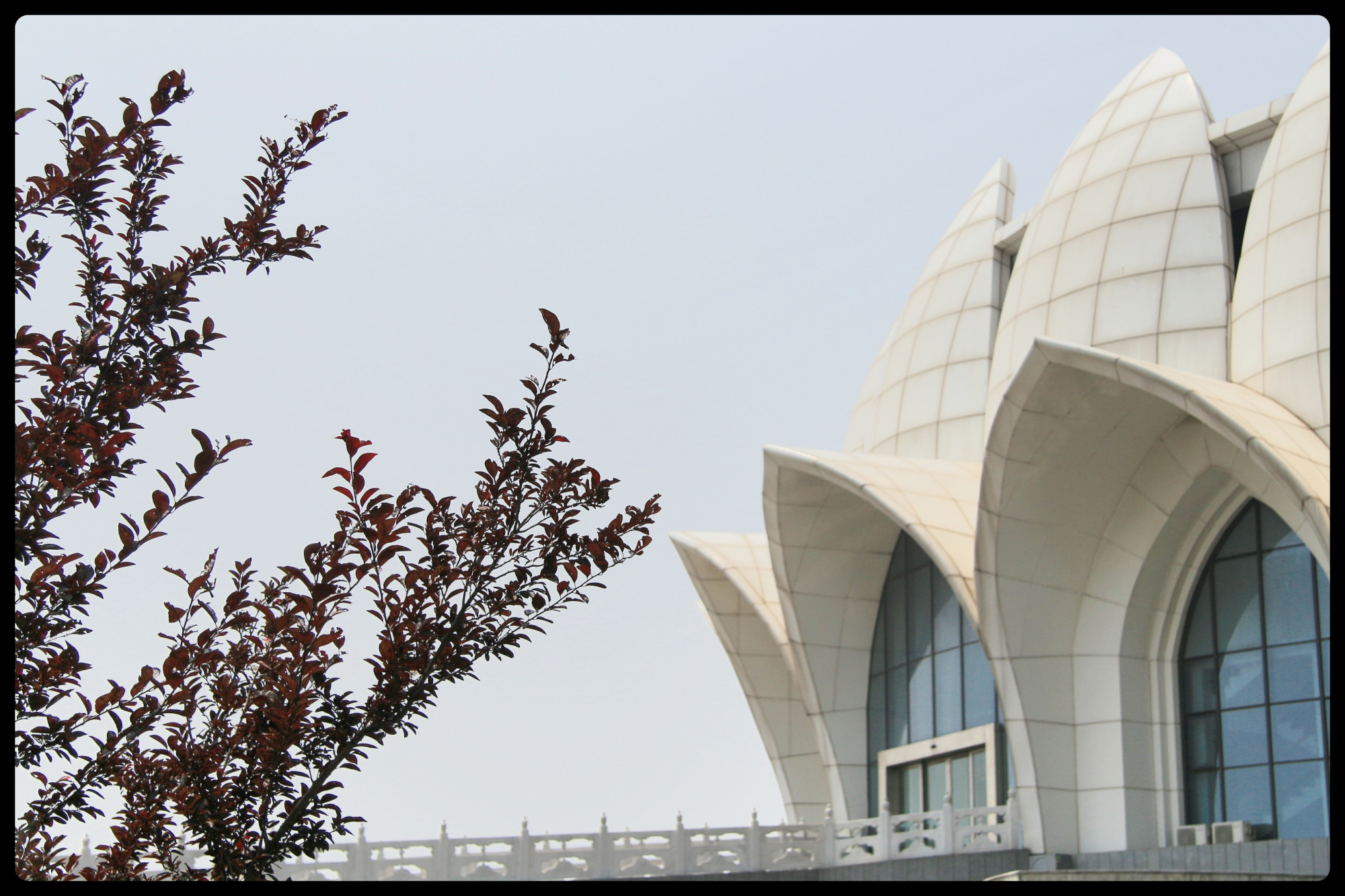 华北第一大海岛,菩提岛历史