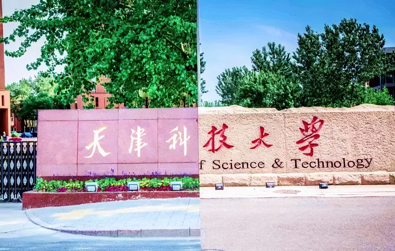 在天津排多少名能上天津科技大学,考上了天津科技大学怎么样