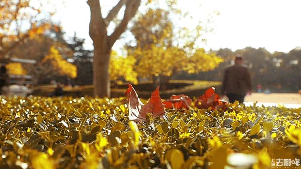 立秋，立秋！这43件事，上海人必须要去做