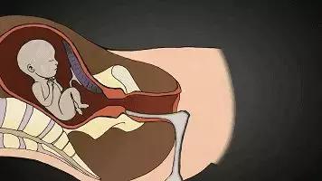 卵巢早衰来势汹汹？这5点是早衰“信号灯”，女性快自查