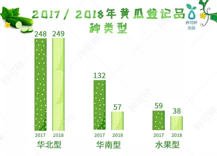2022年最好的黄瓜种子是什么品种,德瑞特178黄瓜品种表现怎么样