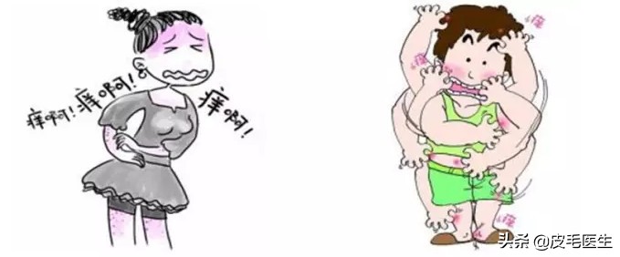 猫狗之间互相传染的病,猫狗耳螨互相传染怎么根治