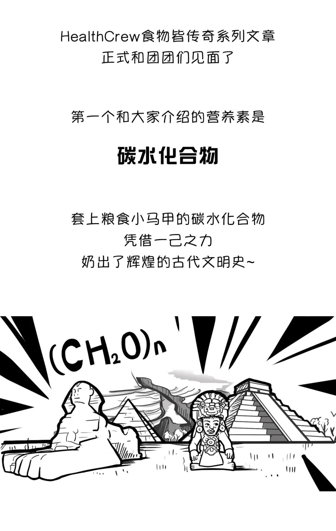 漫画食物简史好书推荐,漫画食物简史视频