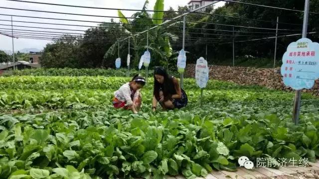 厦门翔安春游踏青好去处,厦门五一周边古镇古村旅游攻略
