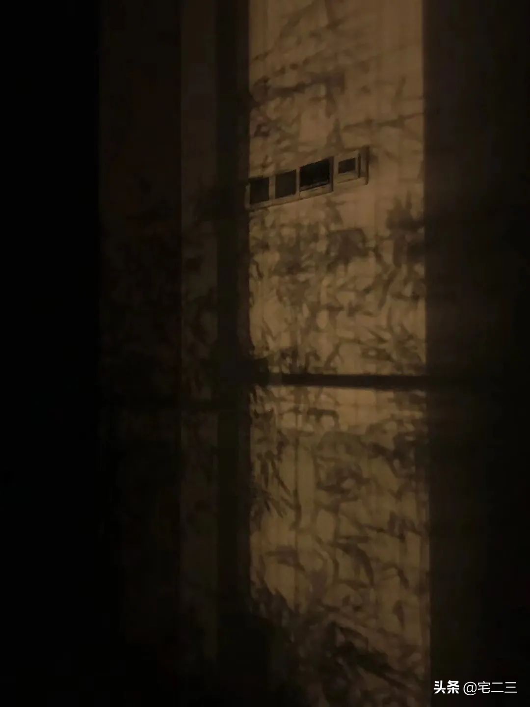 以竹子为建筑材料的地区,以竹建造的民居