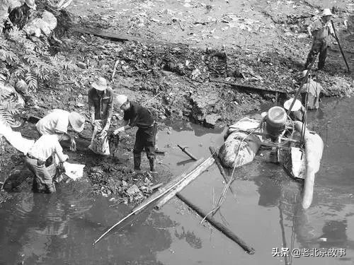 北京金鱼池东区是几环,北京金鱼池原址
