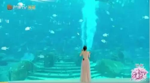 妻子的浪漫旅行郭晓东谢娜,妻子的浪漫旅行郭晓东老家