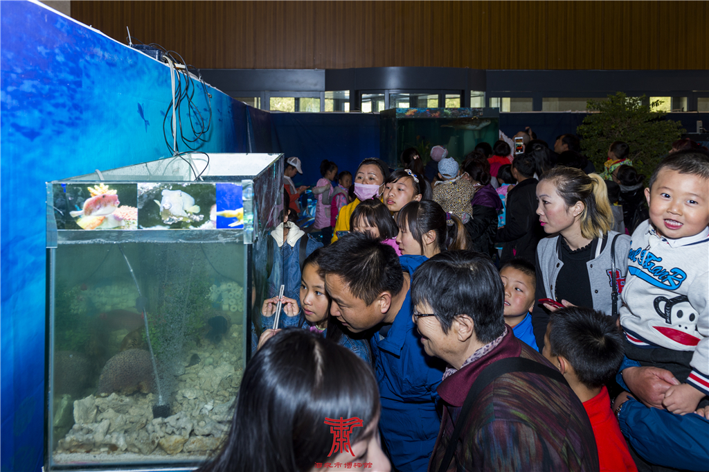 酒博会的总结,酒博会简介
