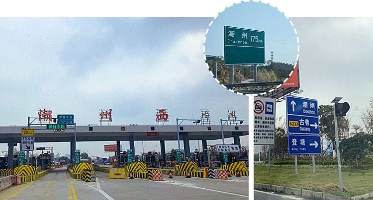 鸭屎香为什么这么难喝,鸭屎香哪里的最好喝