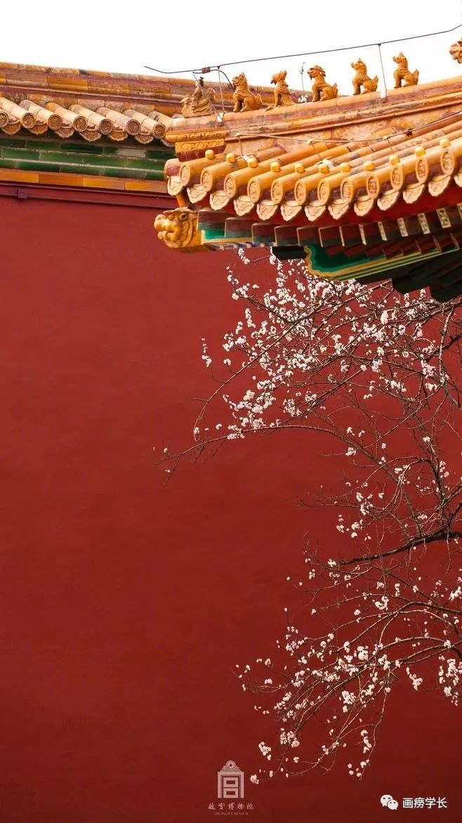 大学摄影专业值得学吗,在美院上学是什么体验