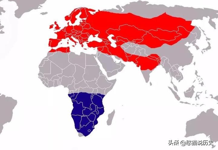 无脚鸟古人,无脚鸟世界上有什么鸟