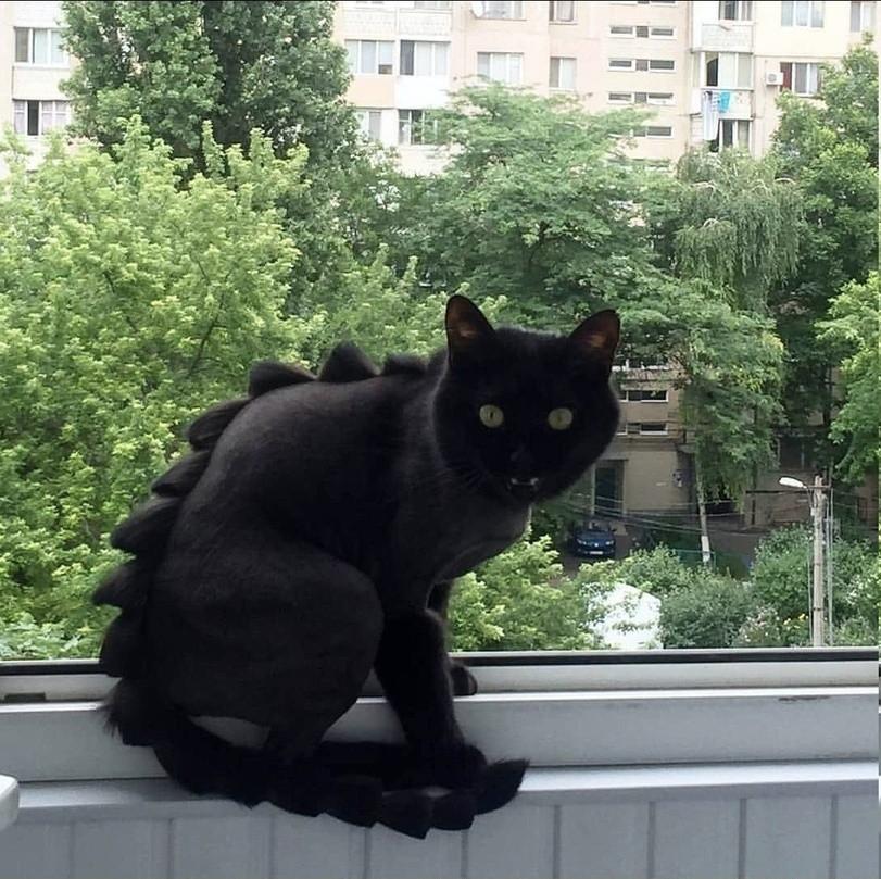 搞笑的冷笑话最好能笑死,非常搞笑的冷笑话大全