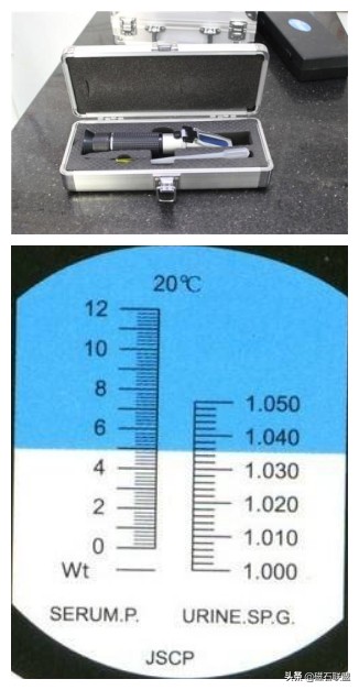 宠物粪检能检查什么,宠物体检应该查什么