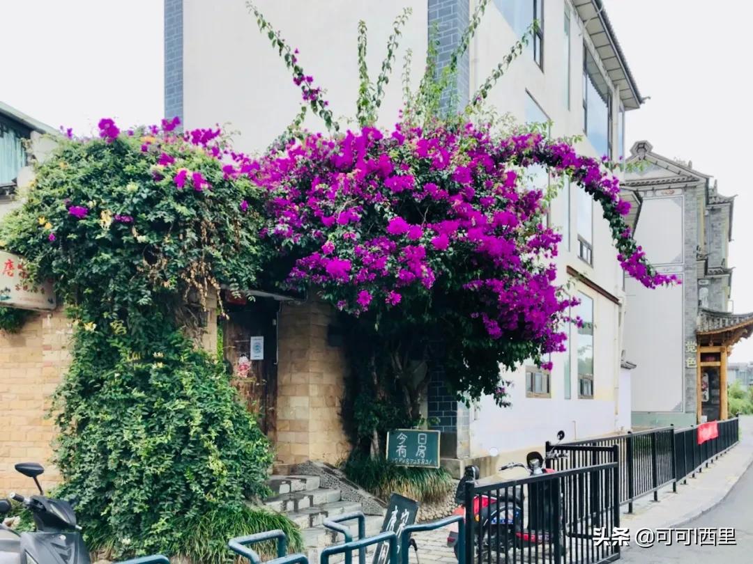 相信孩子静待花开的教育语句,相信每一个孩子的潜力教育随笔