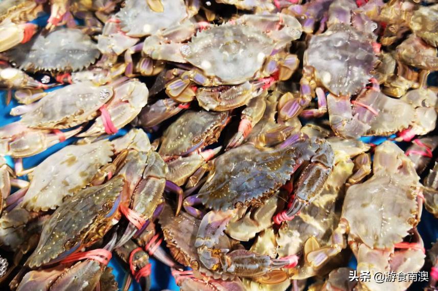 南澳岛看到的蟹是什么蟹,南澳蟹类大全