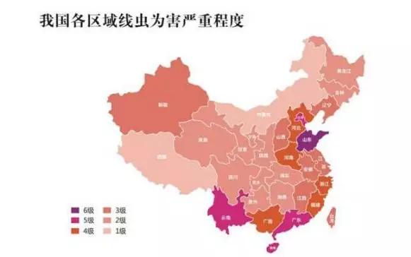 根结线虫病害及治疗方法,根结线虫危害全过程