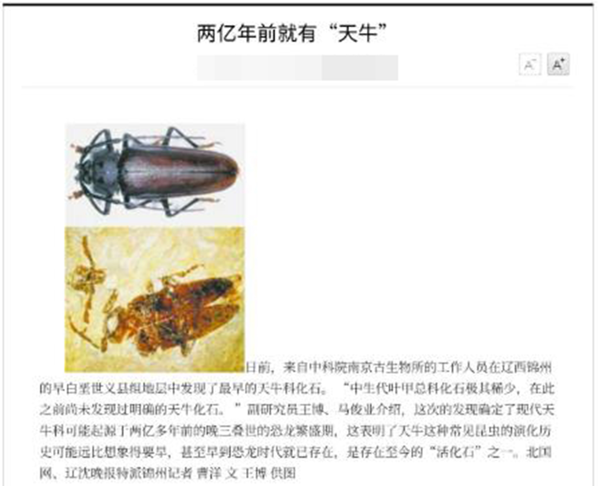 农村这一昆虫，乃两亿年前的“活化石”，儿时盖世英雄“孙大圣”