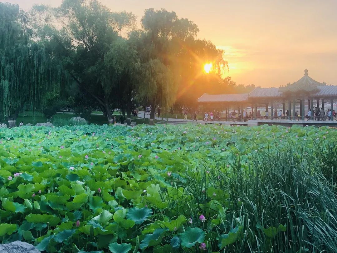 关键之道体育怎么样,关键之道体育