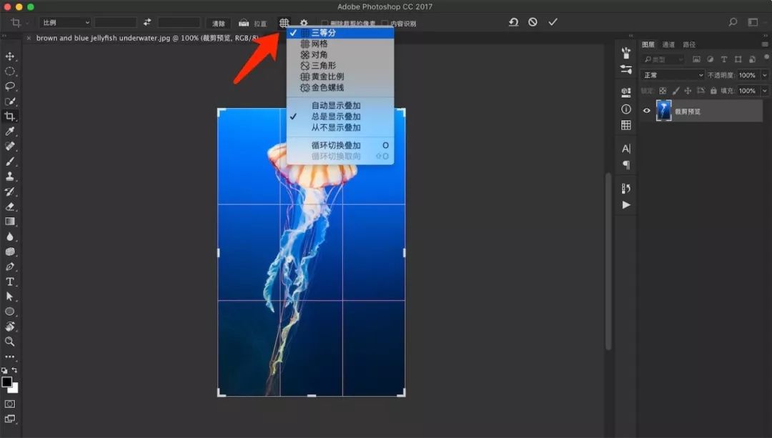 ps裁剪工具中的切片教学视频,ps裁剪切片工具