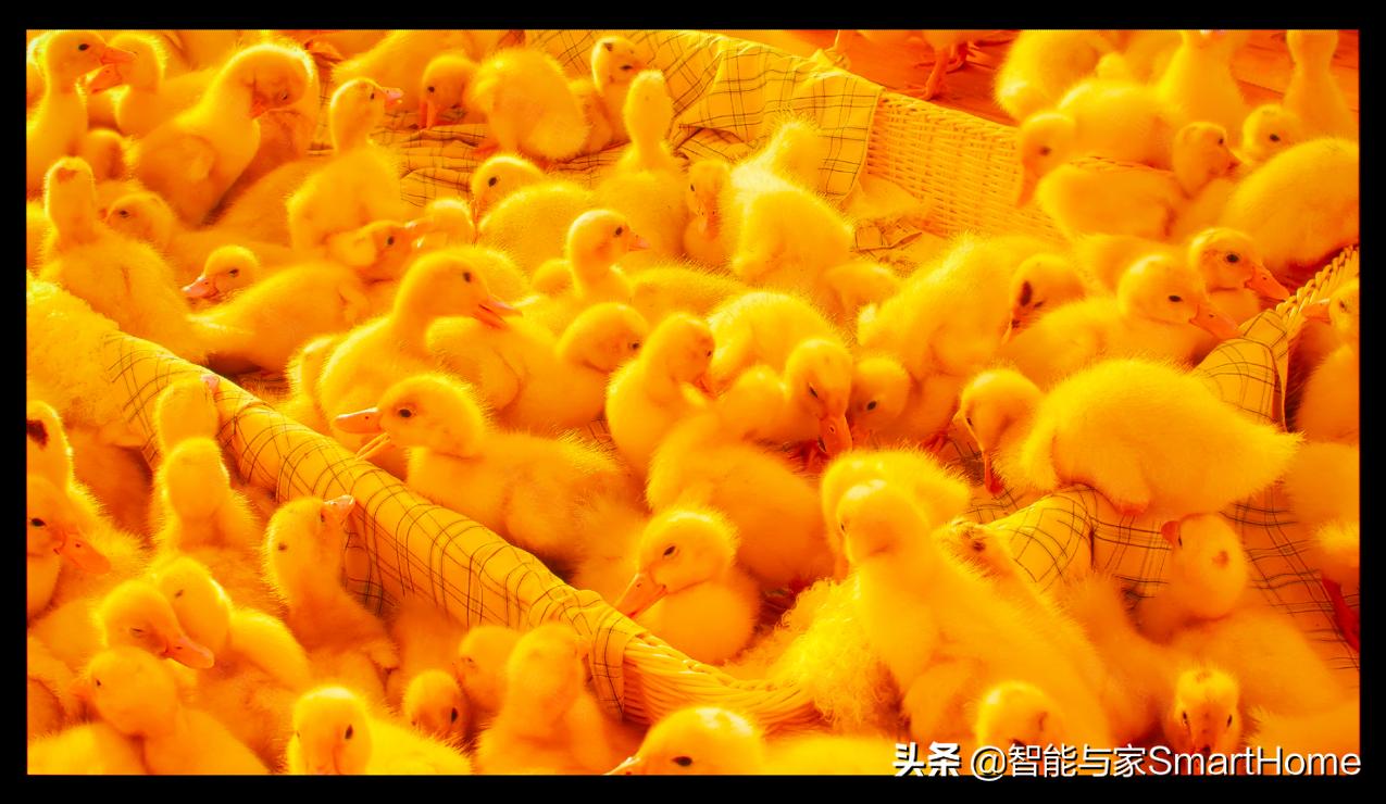 索尼投影vpl-vw558,索尼VW598原生4K投影机