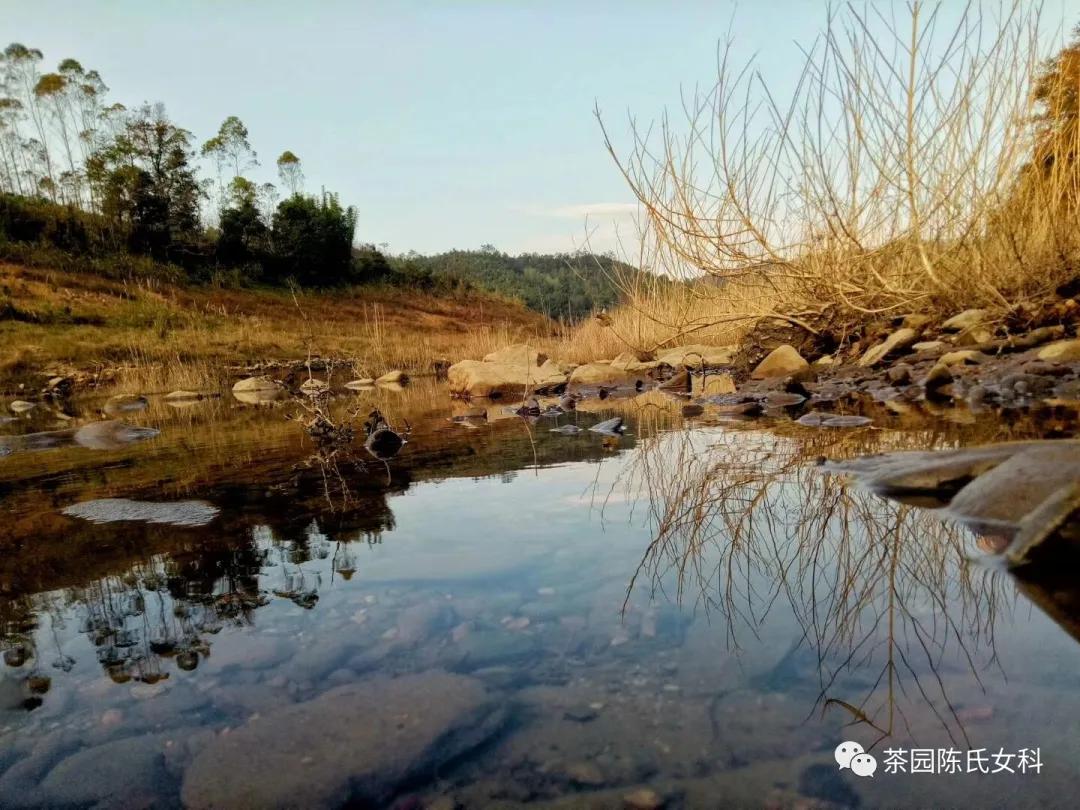 月经太少吃什么补得快,月经不调保护卵巢