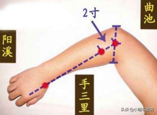 气虚湿热肥胖怎么调理,气虚痰湿型肥胖怎么调理