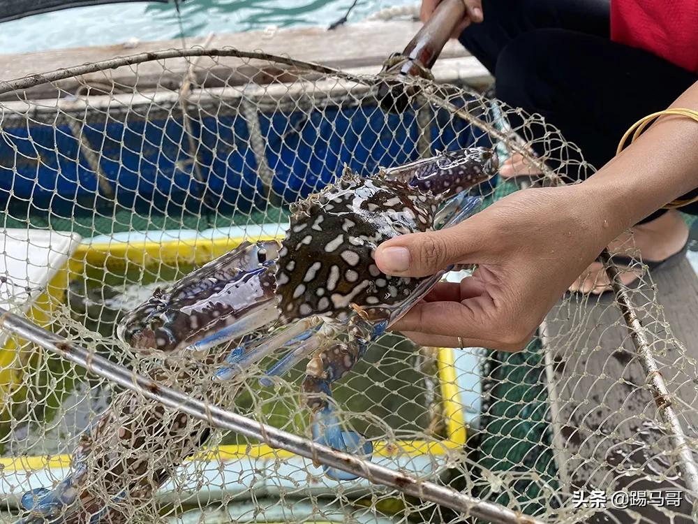 三亚不值得去的地方,三亚不值得去的景点有哪些