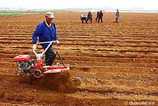 农民包地需要缴税么,农村包地100亩一年多少钱