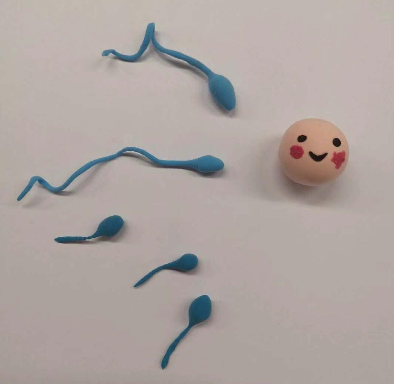 避孕凝胶真的假的,男性避孕药辟谣