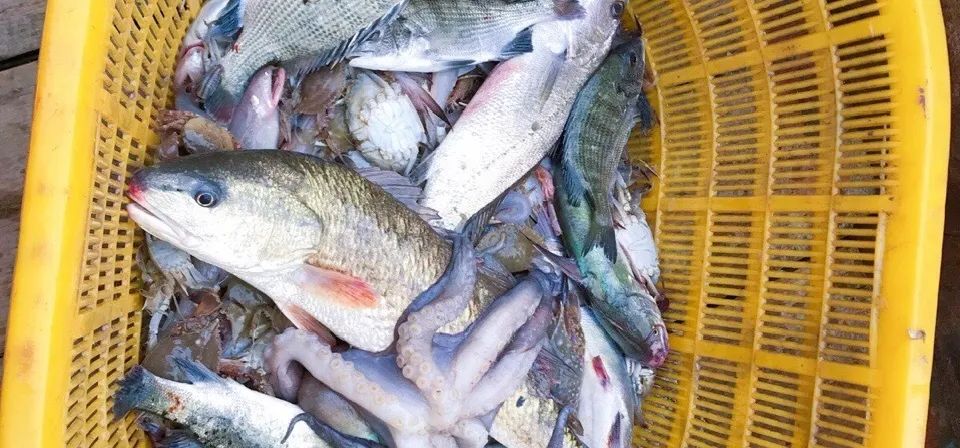 国家地理最美十大海岛,中国十大最美海岛有哪些