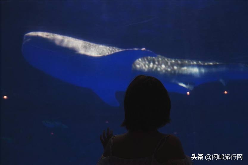 鹿儿岛大西洋游轮,海洋光谱号第三天到达鹿儿岛