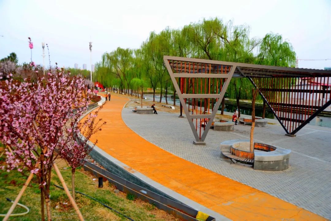 洛阳的居住环境,洛阳居住的真实感受