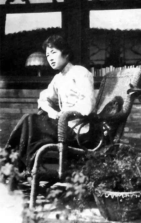 钱钟书和林徽因的护猫之战 (钱钟书的猫跟谁的猫打过架)