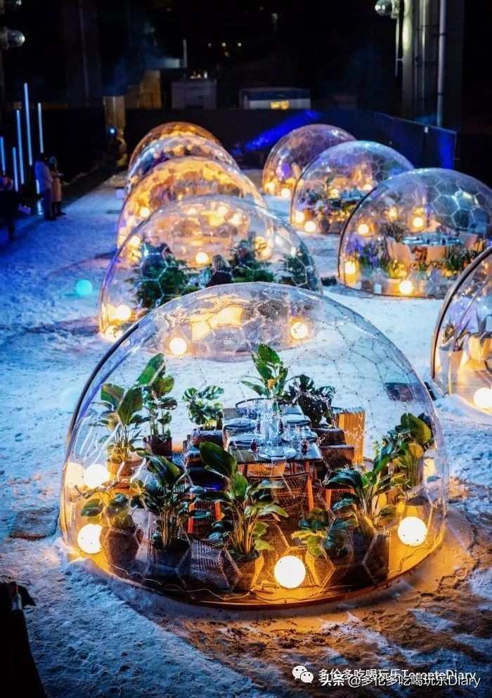 Presto、Costco…… 在多伦多生活,有这些卡就够了