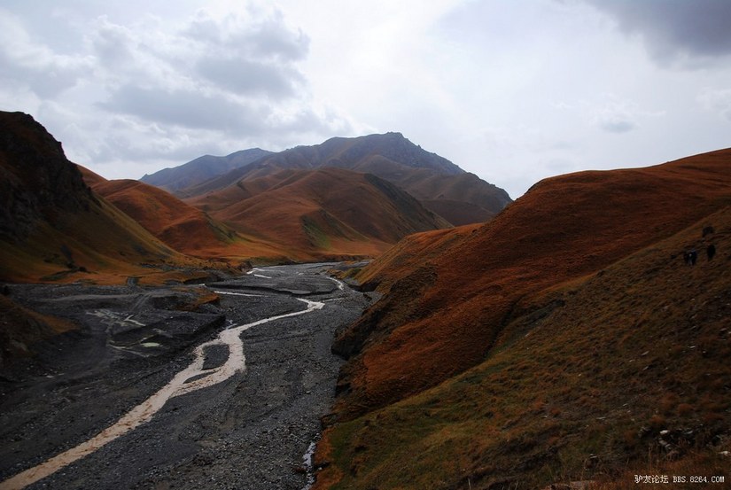 狼c调简谱教唱,狼c