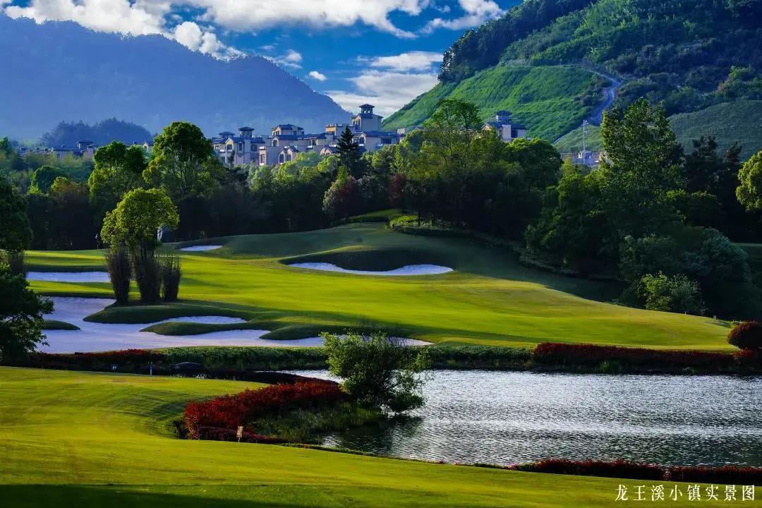 绿城龙王溪小镇房价多少钱,绿城龙王溪小镇二期价格