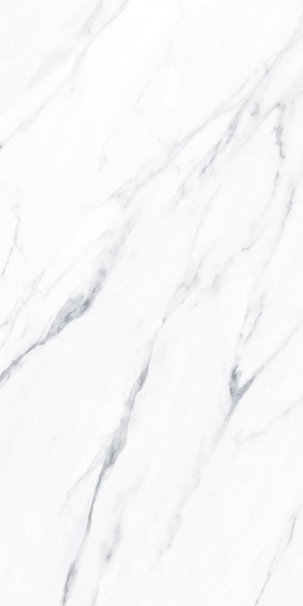 新品速递,新品速递最新图