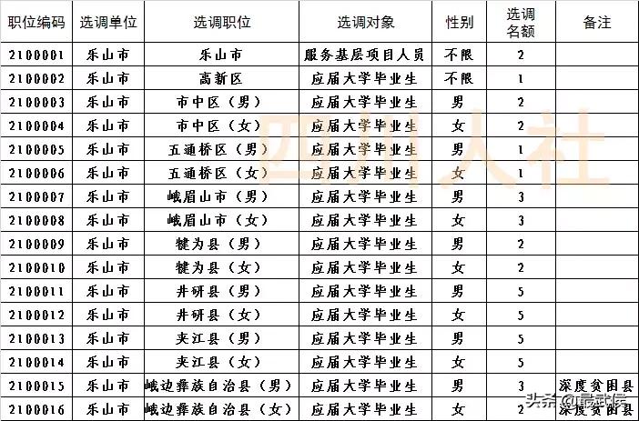 四川选调生2024选调公告官网,四川选调生2024选调公告名额