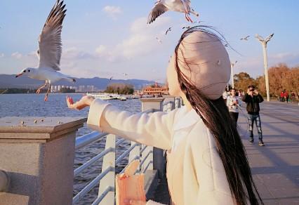 昆明适合拍照的景点有哪些,昆明大理周边旅游景点排名榜前十