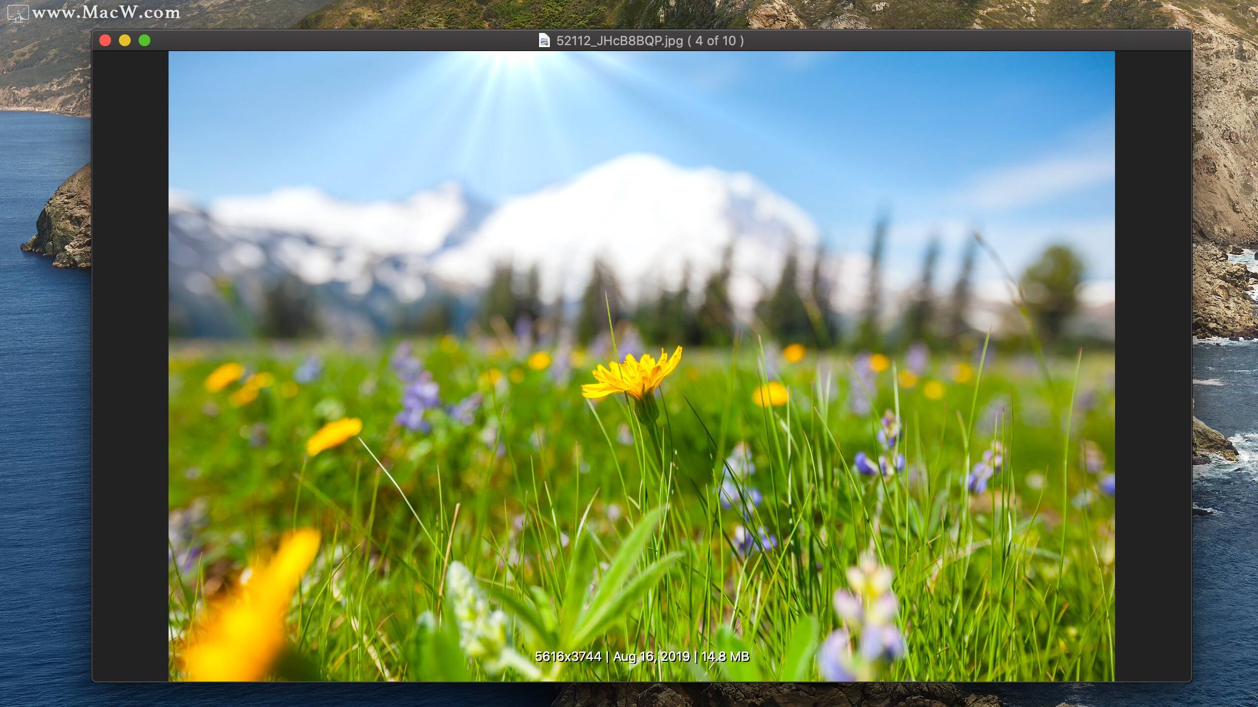 WidsMobImageViewerforMac,WidsMob图像查看工具v2.9激活版