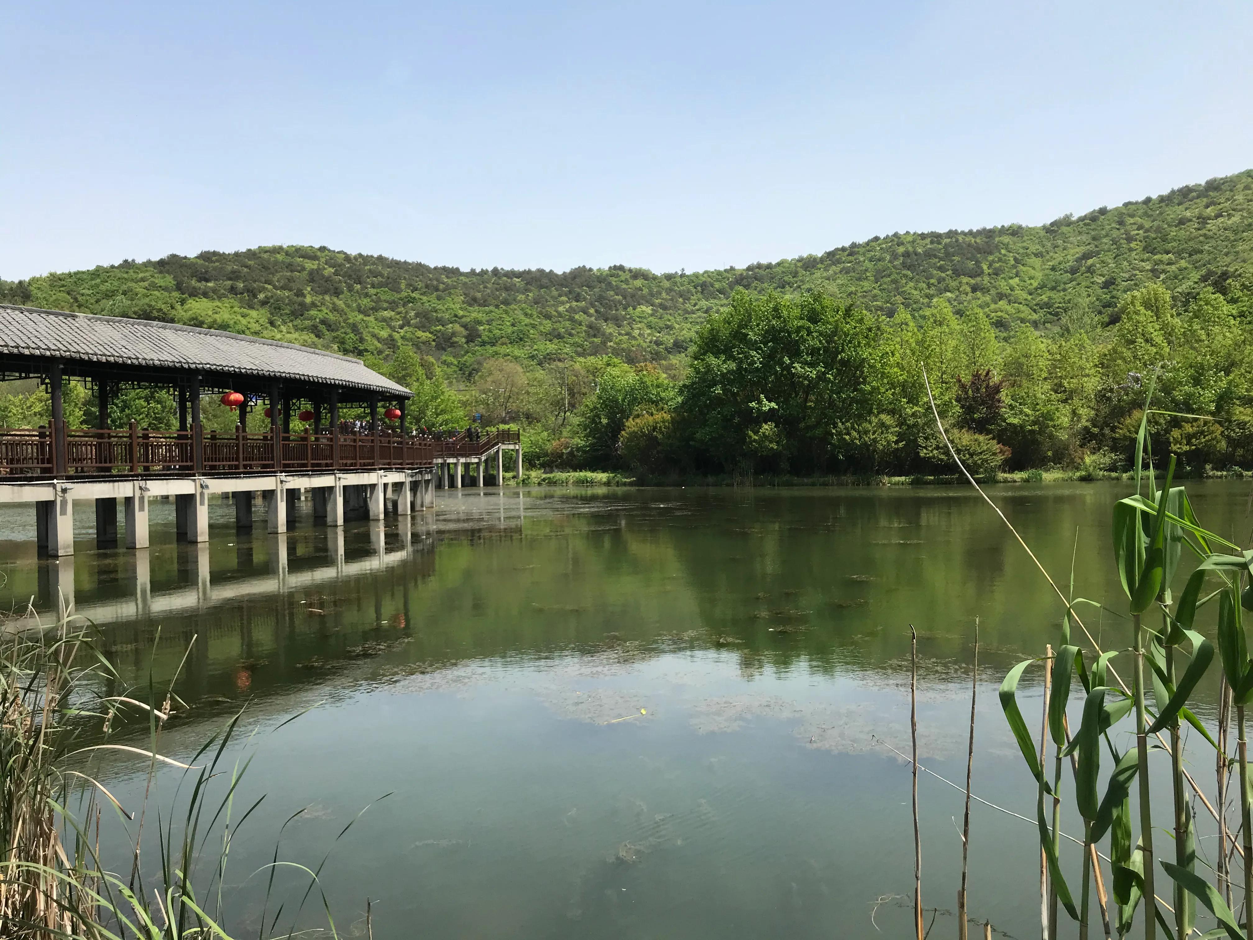 踏青山海秘境,石塘竹海游玩的最佳季节