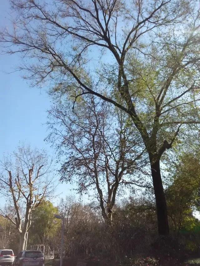 鲁讯公园的湛蓝色天空