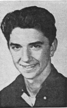 机枪老干妈,老干妈轻型机枪