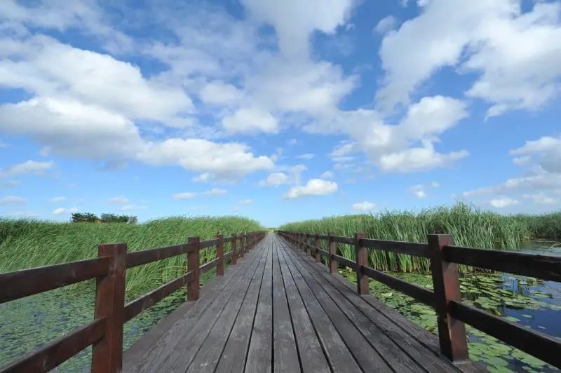 浙江四大新区之港——前湾新区，现实版兑现临湾点