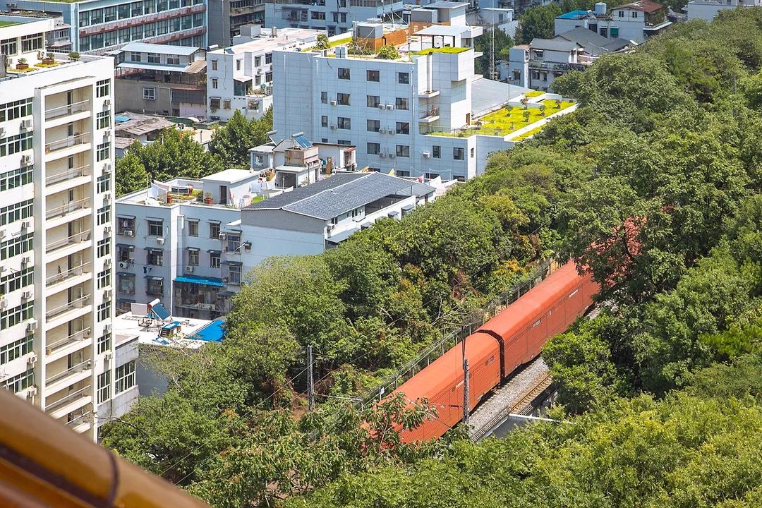 武汉为什么这么多人都值得去,武汉人为什么要去旅游呢