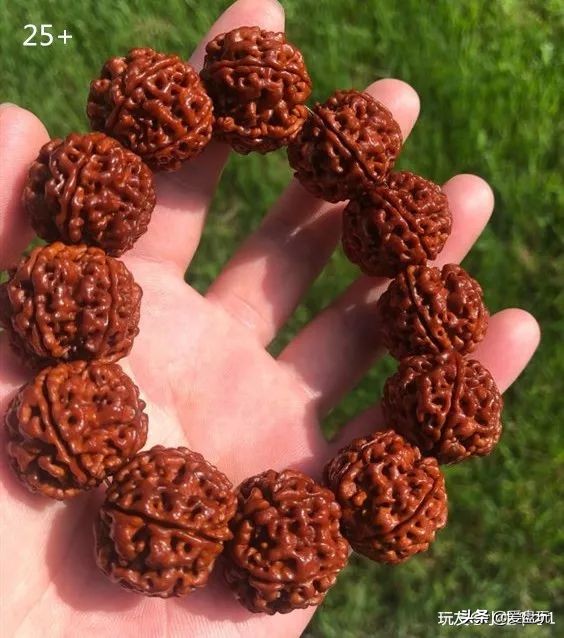 金刚最好的盘玩方法,金刚应该怎么盘