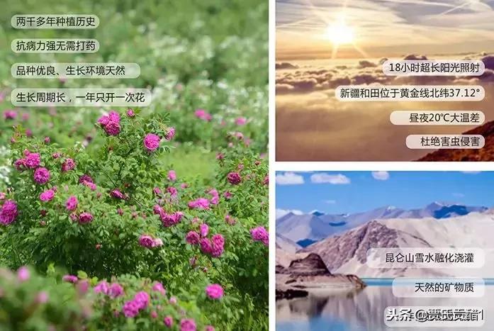 古法酿醋焕发生机,佳品玫瑰酒