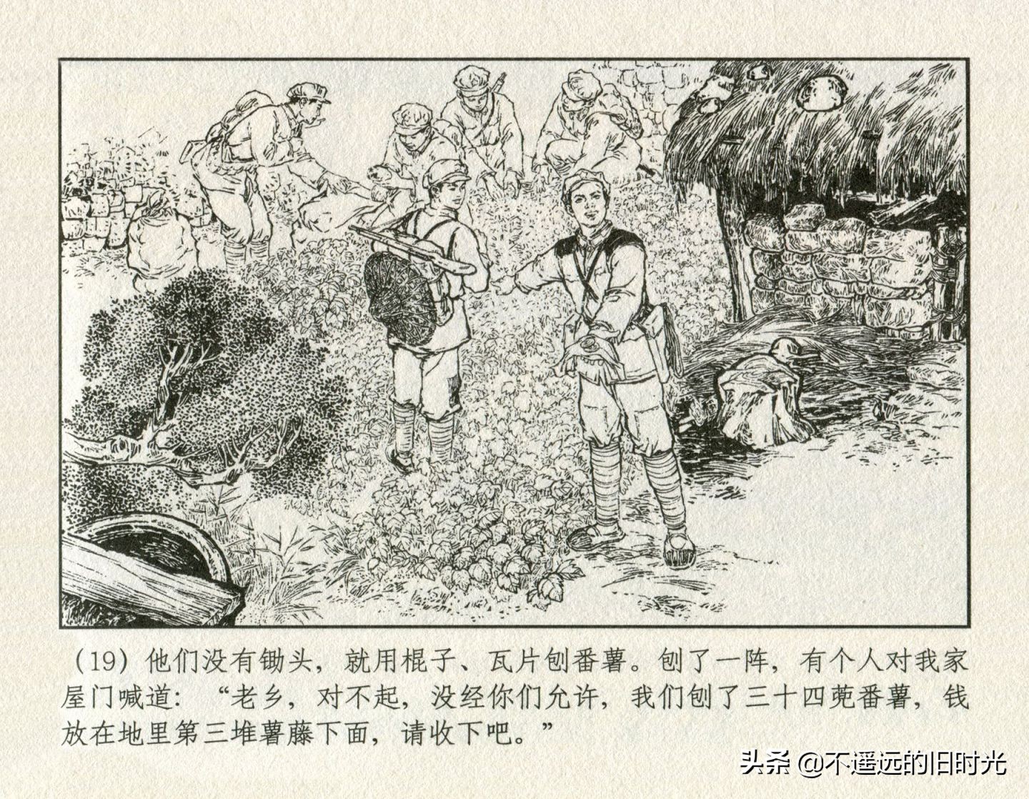 朝阳花-上海人民美术出版社1981初版2016再版陆成法陆小弟绘