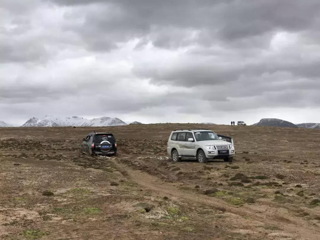 3.0t直列六缸硬派越野车型有哪些 (最便宜的3.0tv6越野车型)